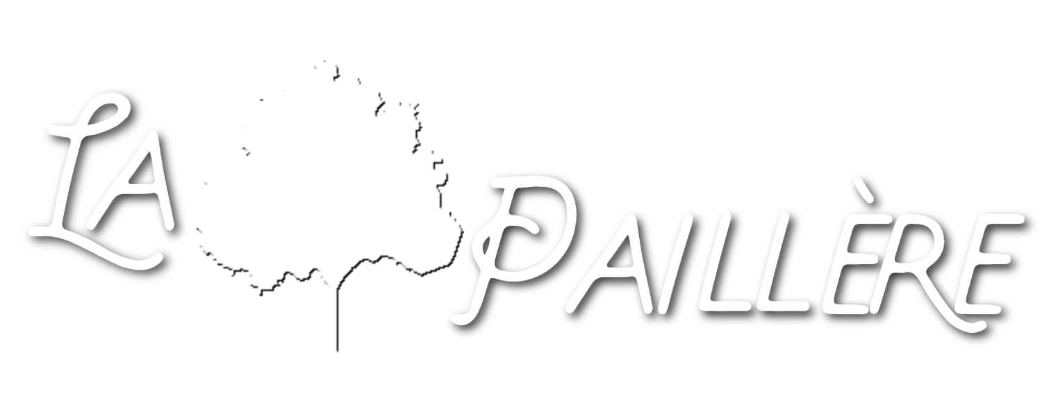 logo paillere